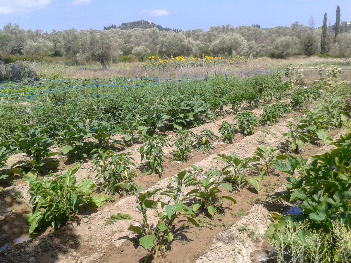 Aroggia Farm Bauernhof *