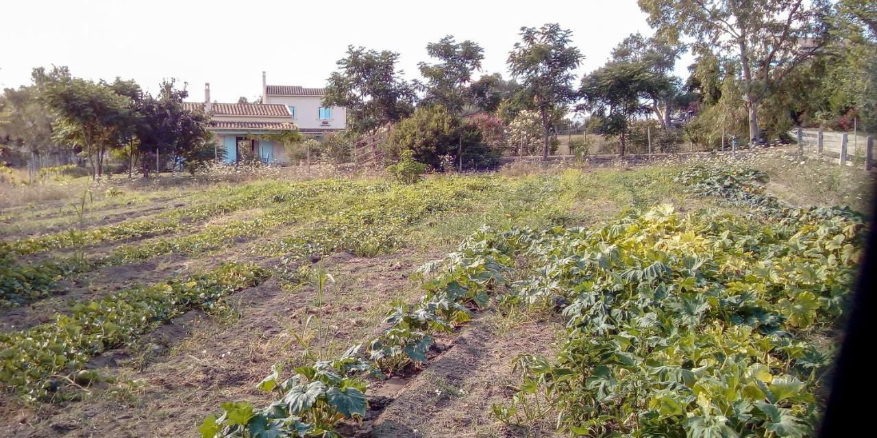 Bauernhof Aroggia Farm