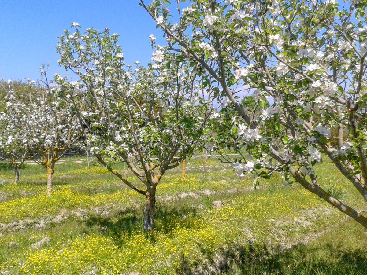 Aroggia Farm Bauernhof *