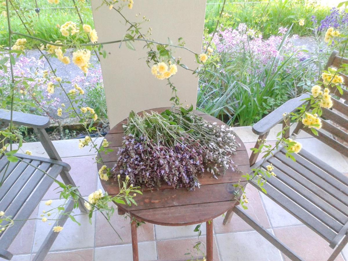 Aroggia Farm Farm stay