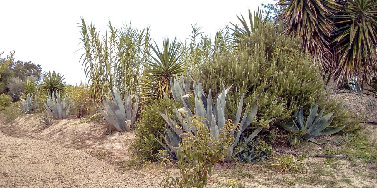 Aroggia Farm Farm stay *
