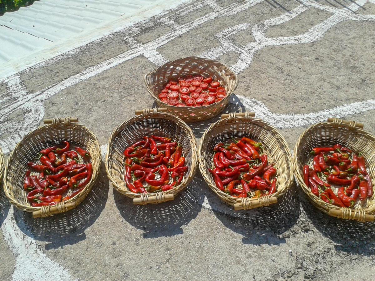 Farm stay Aroggia Farm Xanthatai