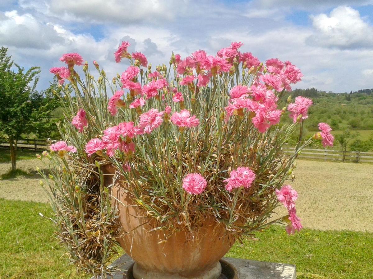 Aroggia Farm *