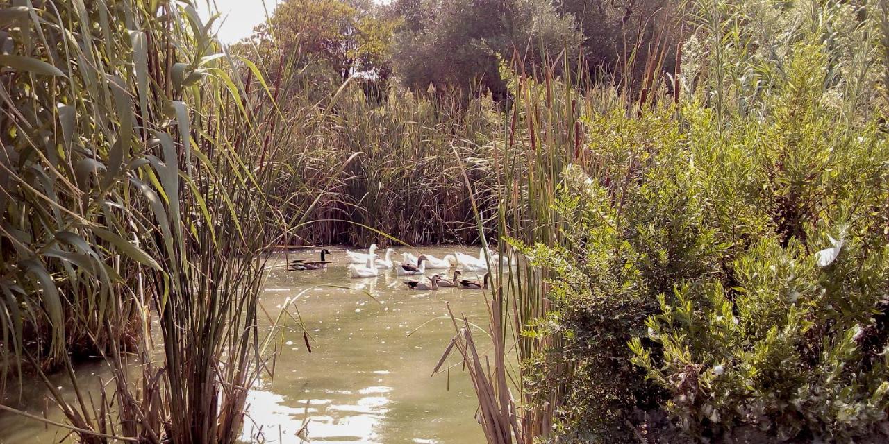 Farm stay Aroggia Farm Xanthatai