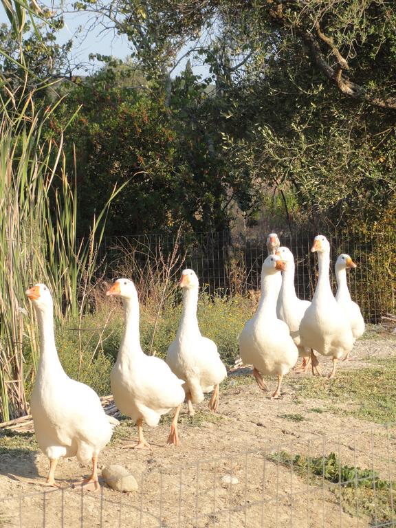 Farm stay Aroggia Farm Xanthatai